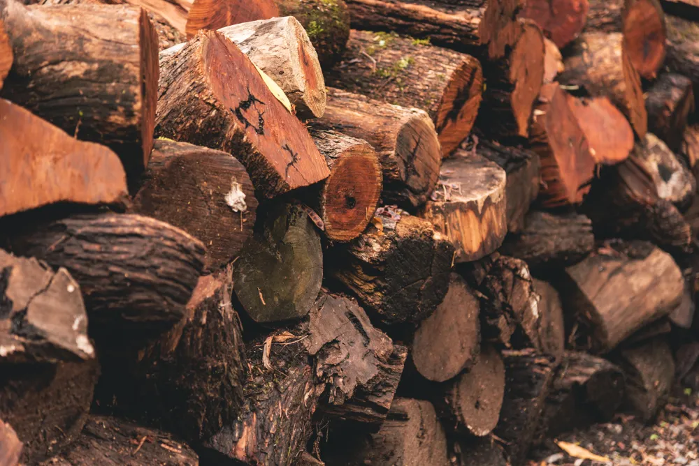 Quebracho firewood