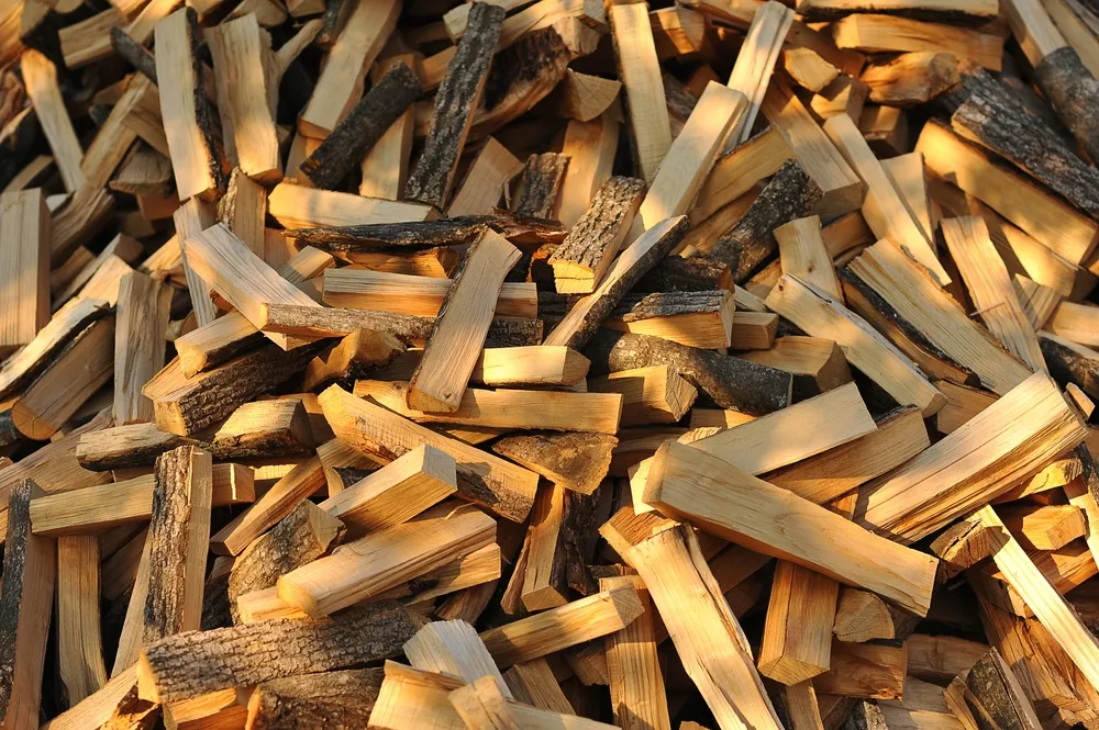 Oak firewood